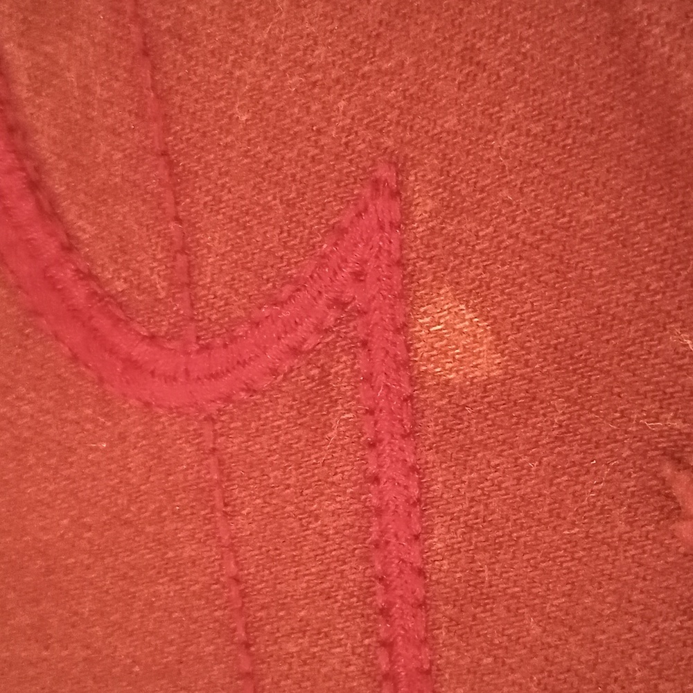 American Eagle shorts - Picture 3 of 5